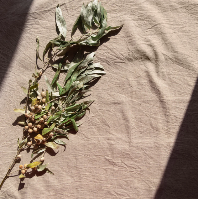 5 Arsyet Pse Liri është Materiali më i Shëndetshëm për Shtëpinë Tuaj